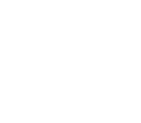 琴の糸替え・三味線の皮張り